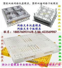 青島pp雙層卡板模具廠家